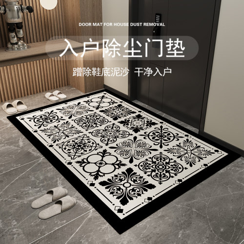 入户门口地垫耐脏免洗打理大尺寸垫进门家用门外高级感2024新款