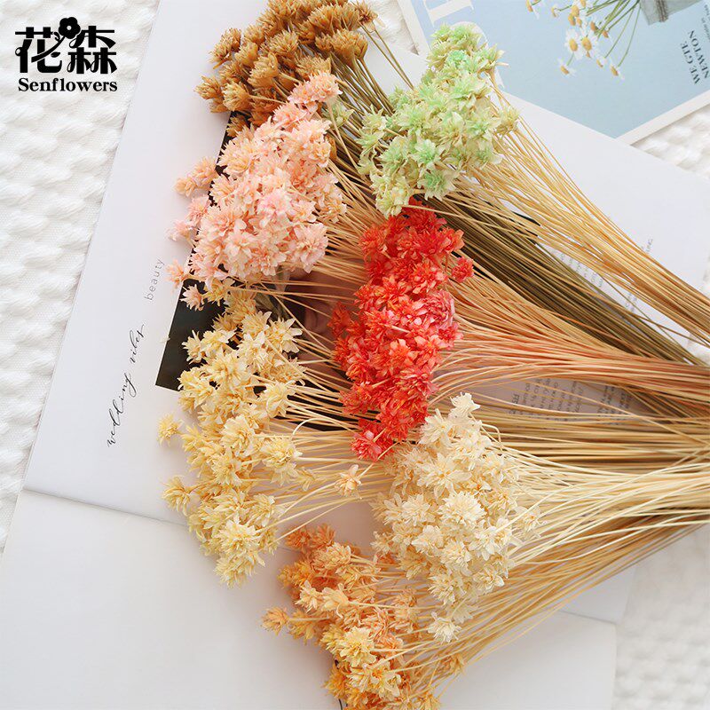 材料包干花永生花摆件真花diy手工装饰小山花浮游花瓶配材天然