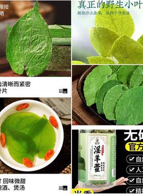 新品生珍整精叶藿中品药羊材仙李西时北淫正整叶淫选羊养茶