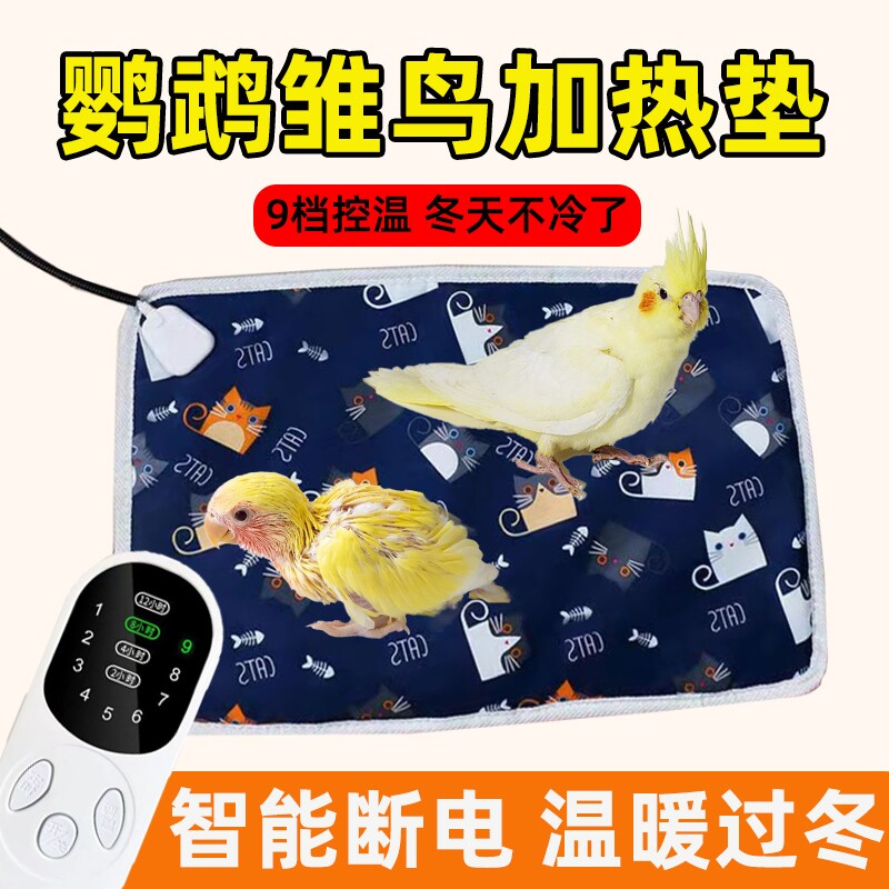 鹦鹉加热垫幼鸟保温箱鸟图片