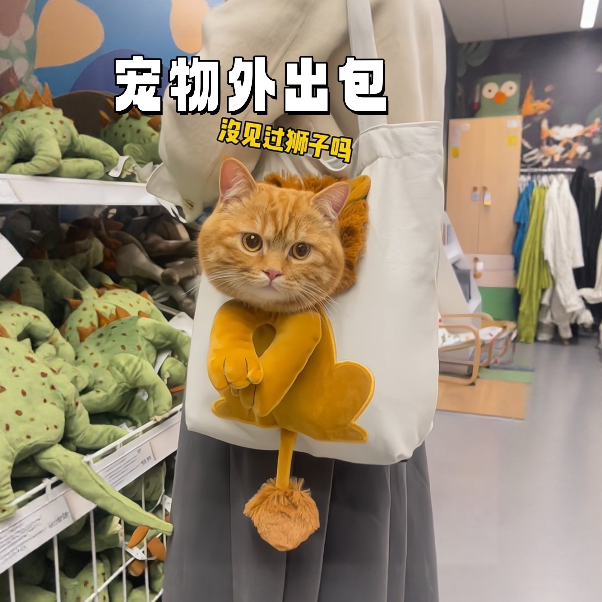 卡通宠物外出包创意狮子