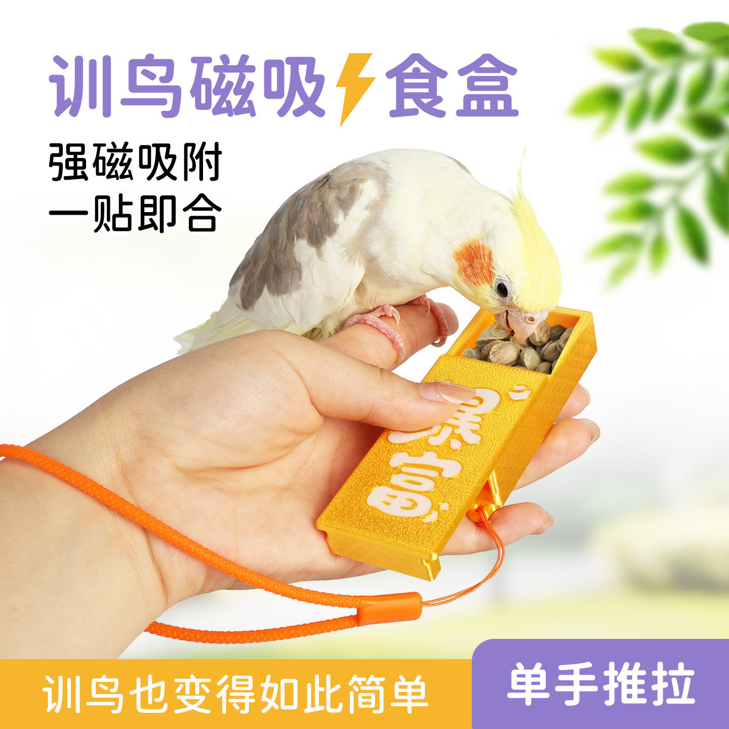 鹦鹉训鸟磁吸食盒奖励零