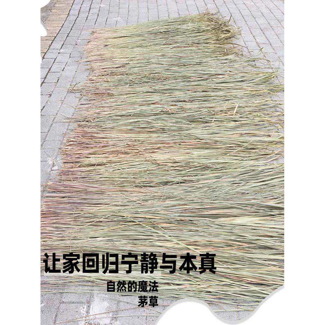 大深山茅针丝茅草茅发货黄茅叶茅草白茅叶白茅草茅草叶编制织雨棚