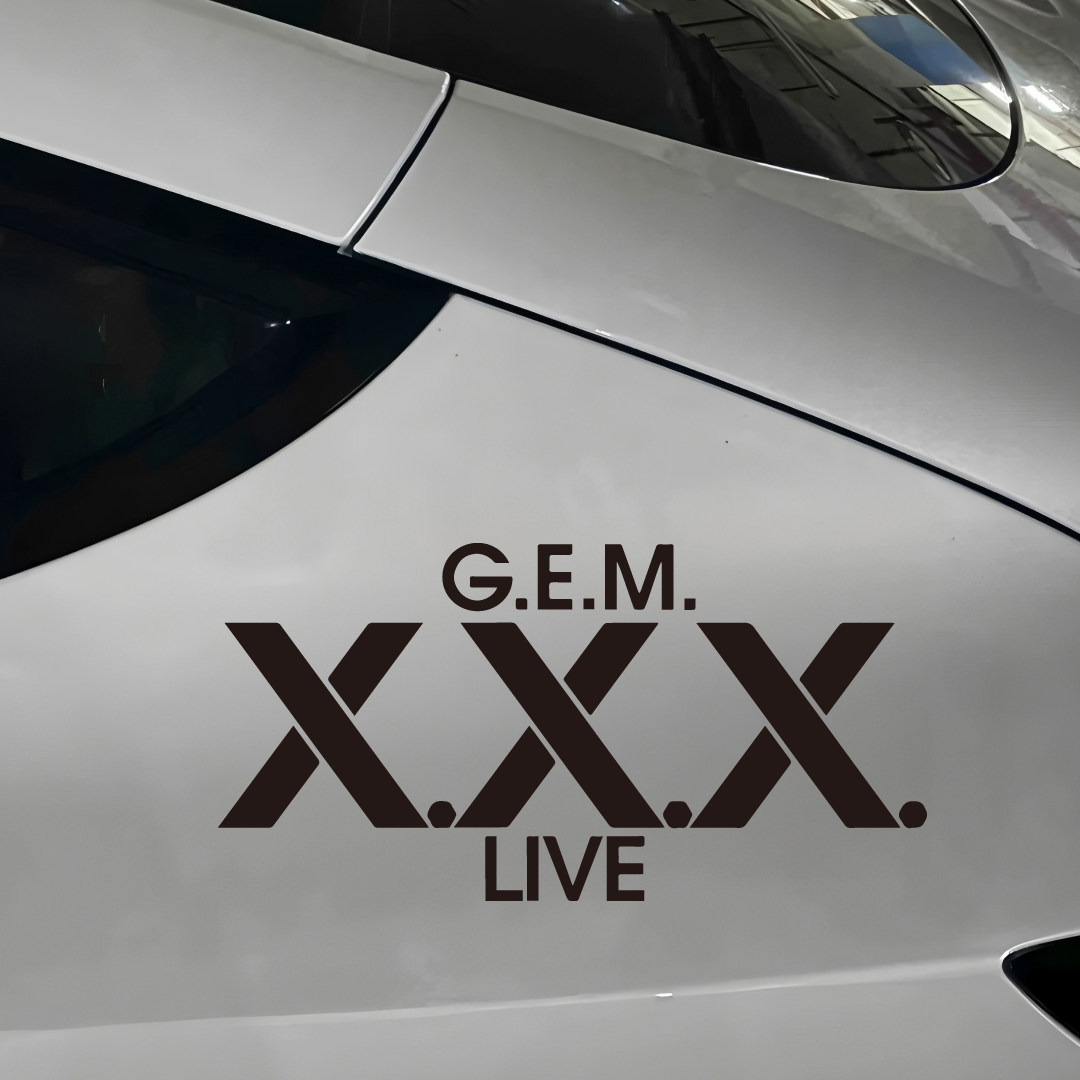 邓紫棋G.E.M.演唱会巡演应援贴