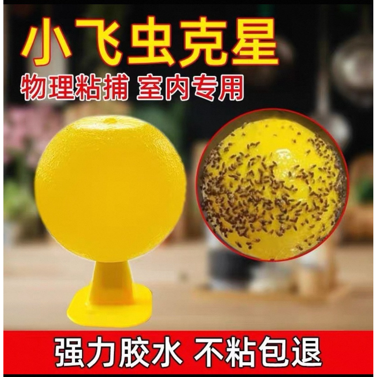 果蝇诱捕器小飞虫灭杀室内去除蚊虫克星厨房蠓虫粘虫球诱苍蝇b