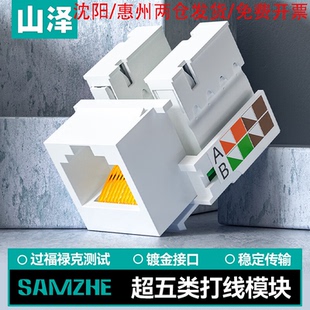山泽超五类网络电话模块 CAT5e网线插座面板模块 RJ45RJ11电话水晶头母座电脑网线连接头 WAN-04PMC501