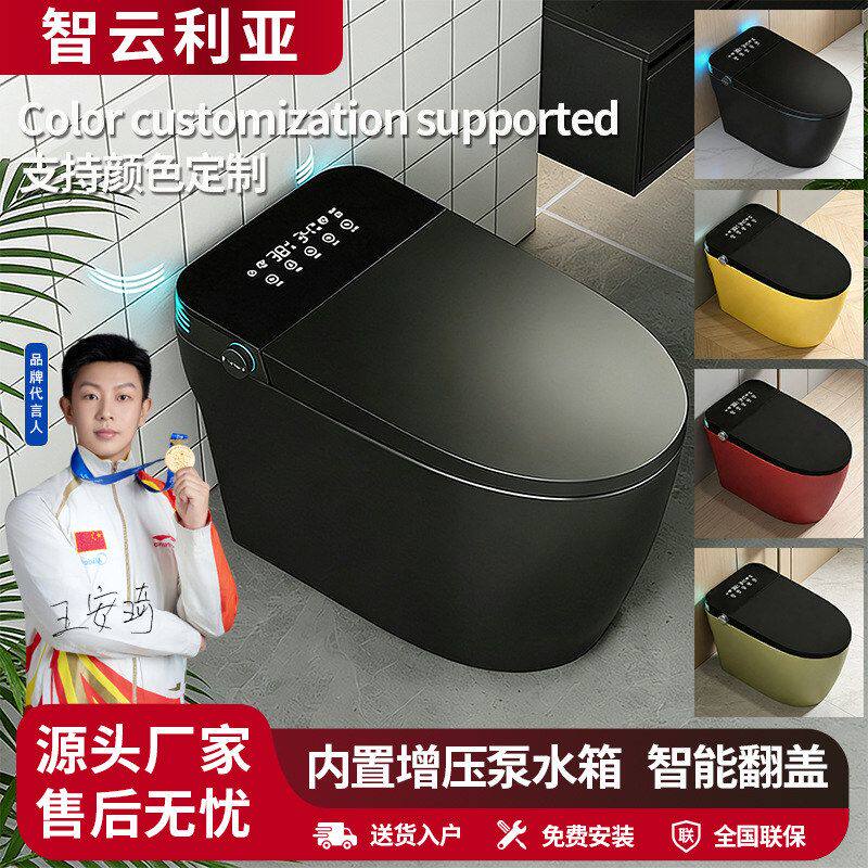 彩色智能马桶家用全自动翻盖枪灰虹吸双水路座圈加热无水压限制
