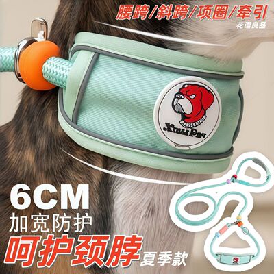 防勒脖狗狗牵引绳防爆冲P链中大型犬防挣脱遛狗绳高颜值项圈训练