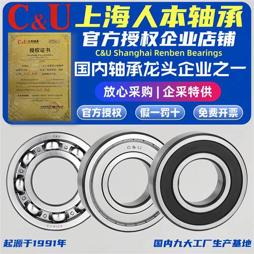 人本轴承型号大全6201 6202 6203 6204 6205 6004 6005 6006 2RZ