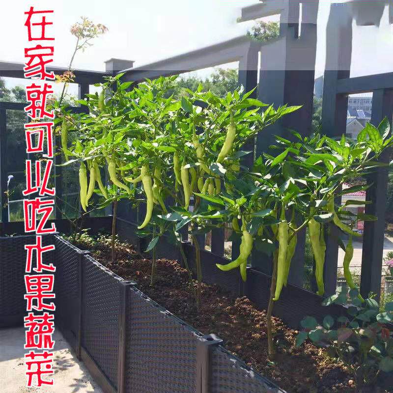 家庭阳台种植箱楼顶种菜盆加深加宽庭院蔬菜花盆室内花槽种菜