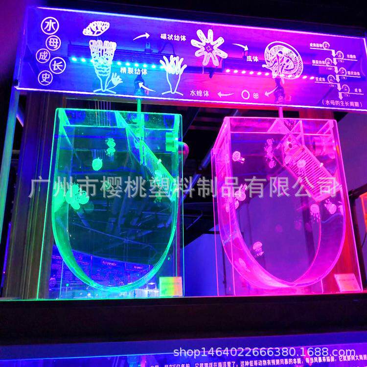 亚克力多功能U型缸有机玻璃科普缸水母、鱼、活体展示观赏缸