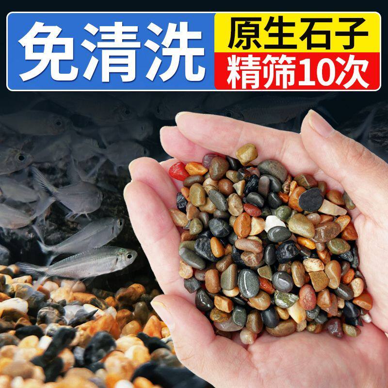 纯天然溪流沙石原生鱼缸铺底石鹅卵石小石头造景装饰底砂龟缸雷龙