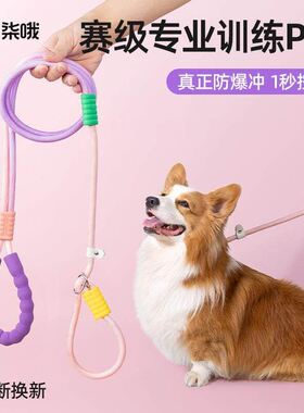狗狗牵引绳防爆冲p绳中小型犬防挣脱链大型犬拴狗绳套脖遛狗用品