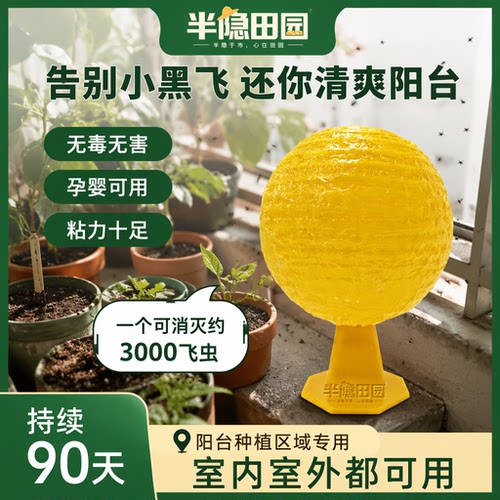 半隐田园小飞虫粘虫球家用厨房垃圾桶水果店专用果蝇黑飞物理诱捕
