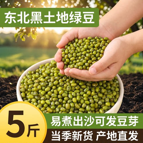 东北绿豆新货优质可发芽大颗粒