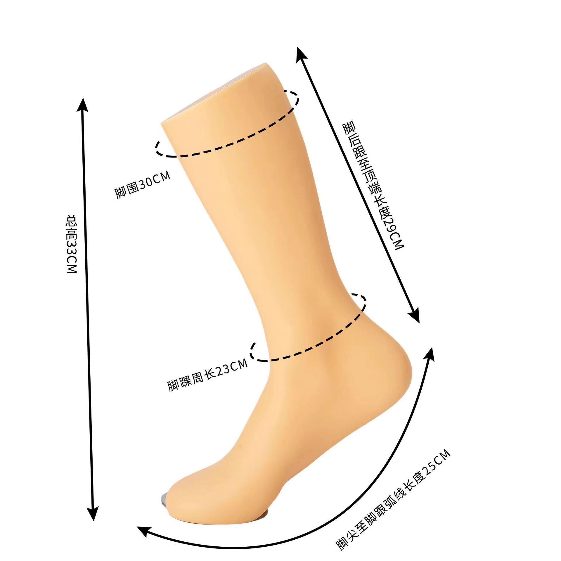 塑料脚模男女左右磁铁袜模棉袜丝袜拍照道具袜子店展示模型