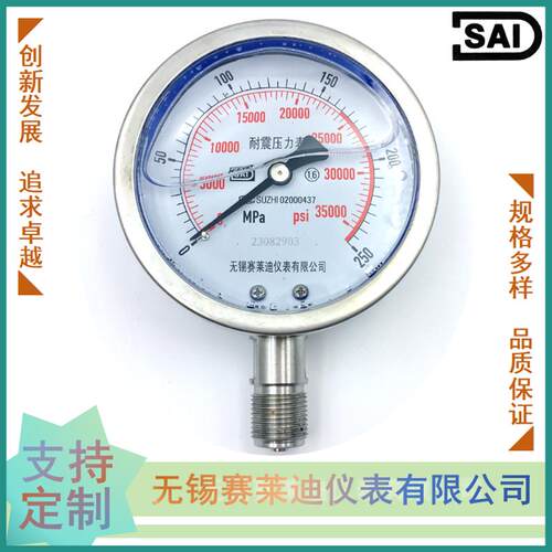 无锡赛莱迪仪表 不锈钢高压耐震压力表 YN-100BF 250MPa 300MPa
