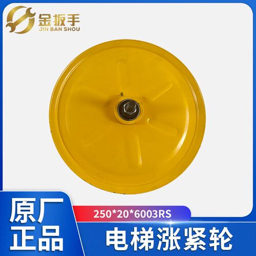 原装电梯涨紧轮250*20*6003RS涨紧装置 奥的斯/杭西奥/奥德普配件