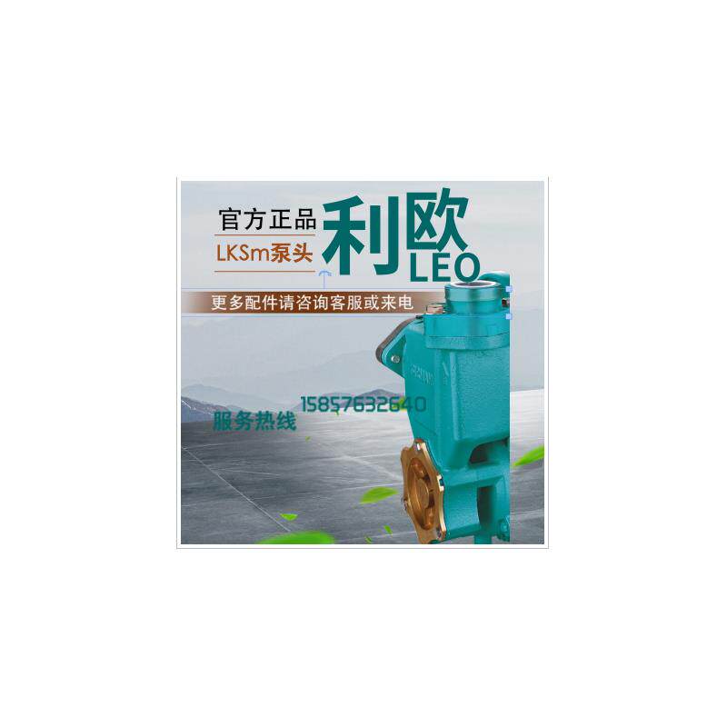 利欧配件LKSm250/370/550家用增压高压自吸水泵泵头配件铸铁泵体