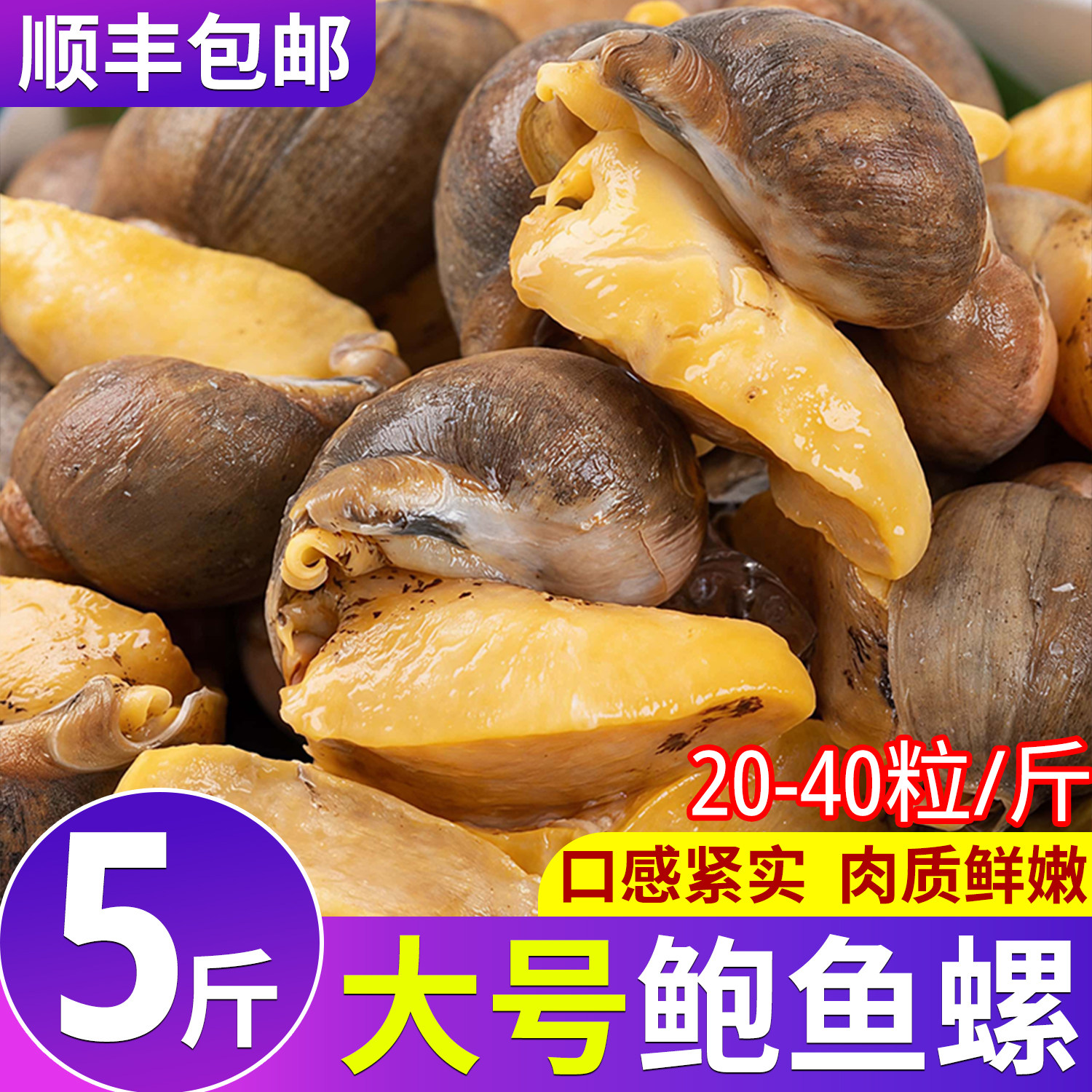 大号鲍鱼螺老婆脚鲜活冷冻新鲜鲍螺带黄熟冻珍珠鲍商用批发整箱