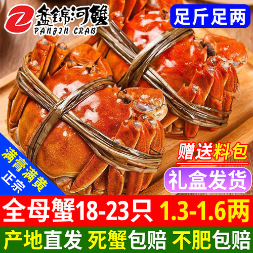 盘锦河蟹全母鲜活大闸蟹正宗盘锦稻田河蟹活蟹特大礼盒产地直供