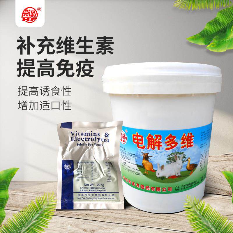 电解多维补充电解质抗应激畜禽水溶电解质多种维生素添加剂