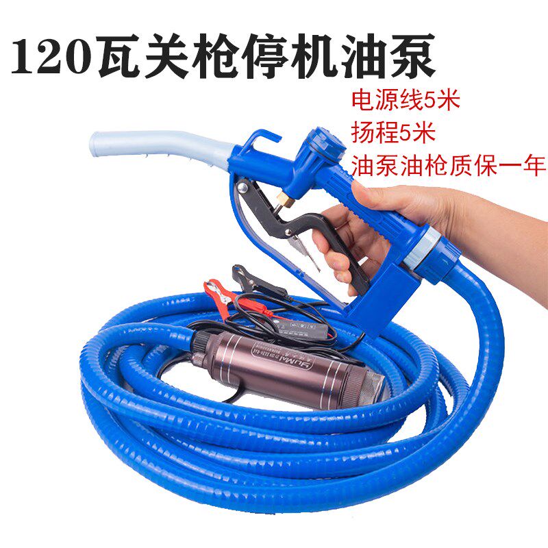 电动抽油泵12V电动抽柴油泵24V潜水油抽子220V家用关枪停机油泵