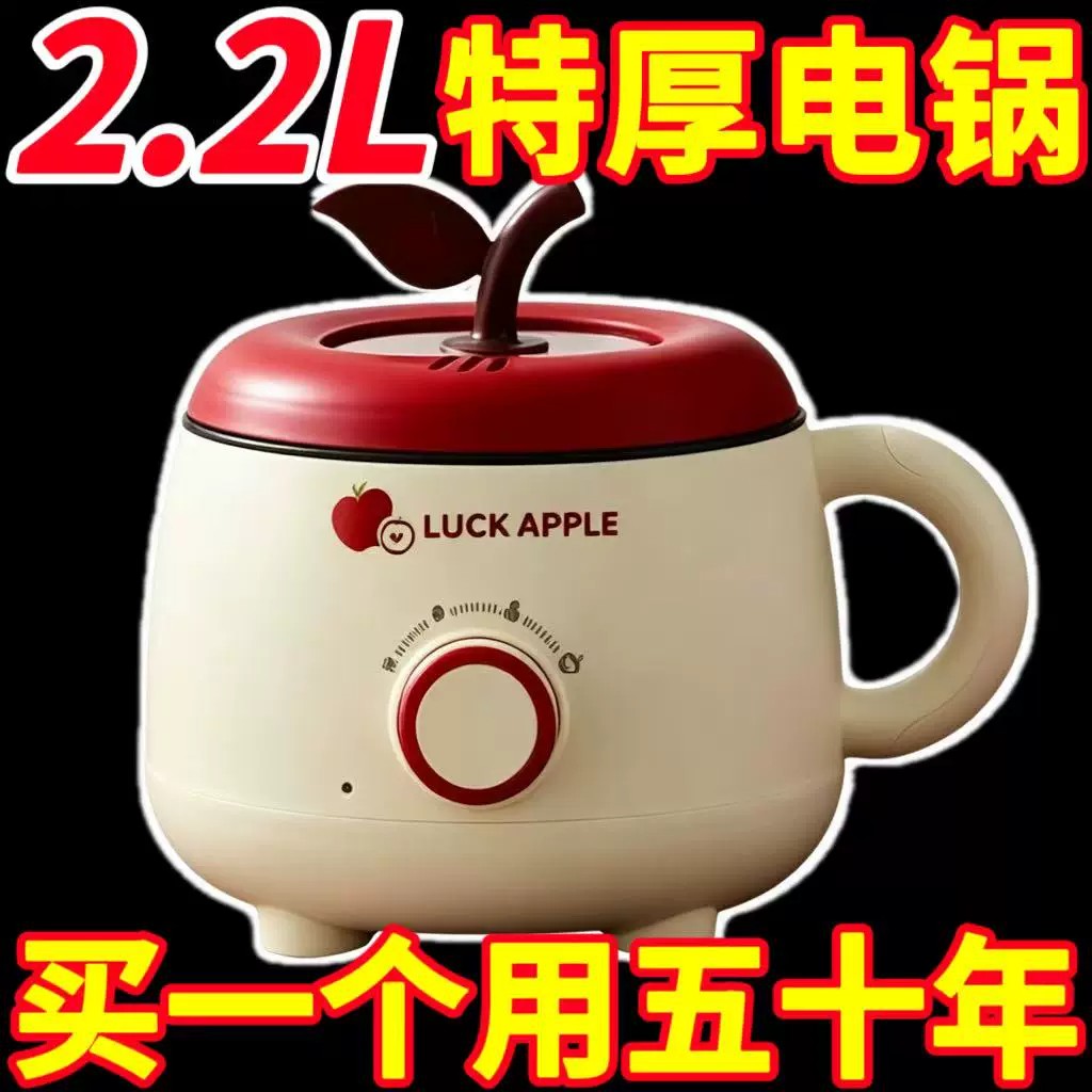 德国电煮锅寝室锅宿舍电热锅出租屋煎鱼蛋煮饭炒火锅多功能烤肉锅