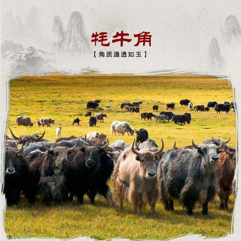 按摩梳圆筒头部头皮经络洗头梳子居家按摩美容院按摩舒适便捷