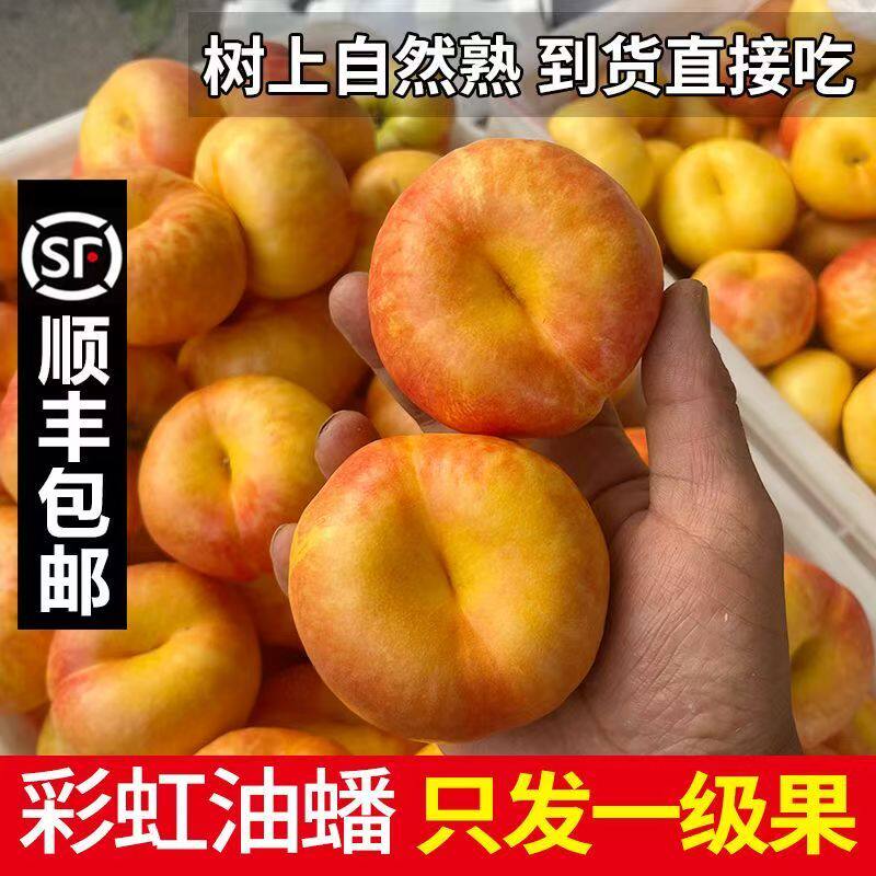 正宗蒙阴彩虹油蟠桃新鲜整箱