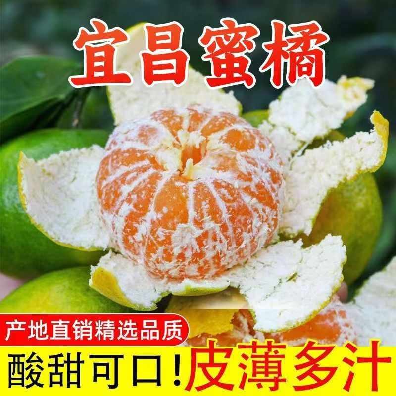 宜昌蜜橘新鲜桔子产地直发精选品质酸甜可口皮薄多汁应季橘子