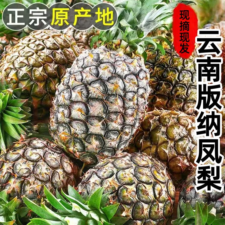正宗云南版纳凤梨新鲜无眼凤梨现摘现发热带水果黑钻凤梨香甜多汁