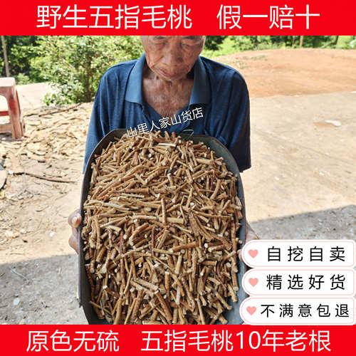 广东野生五指毛桃根汤料包五爪龙
