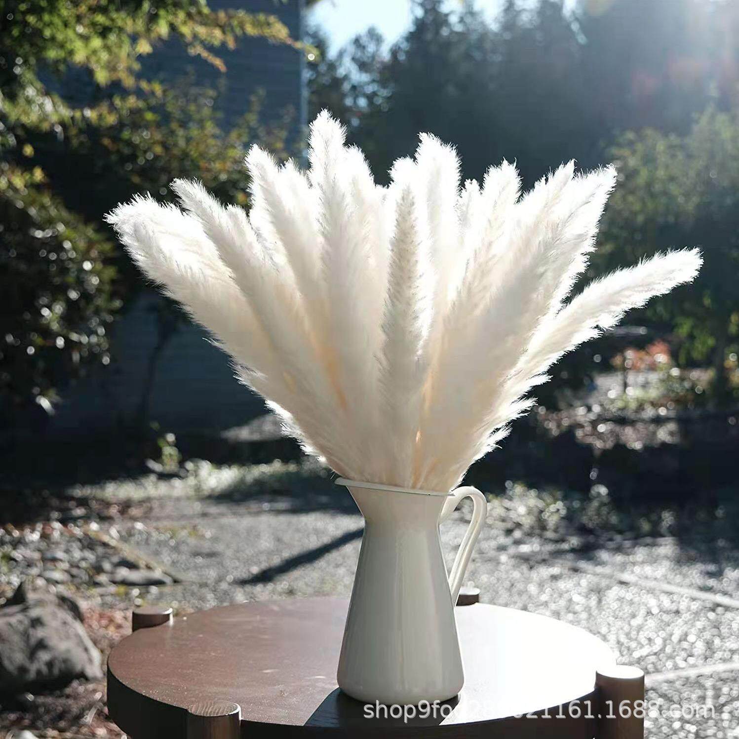 芦苇套装干花花束北欧风装饰摆件插花客厅装饰摆件干花束