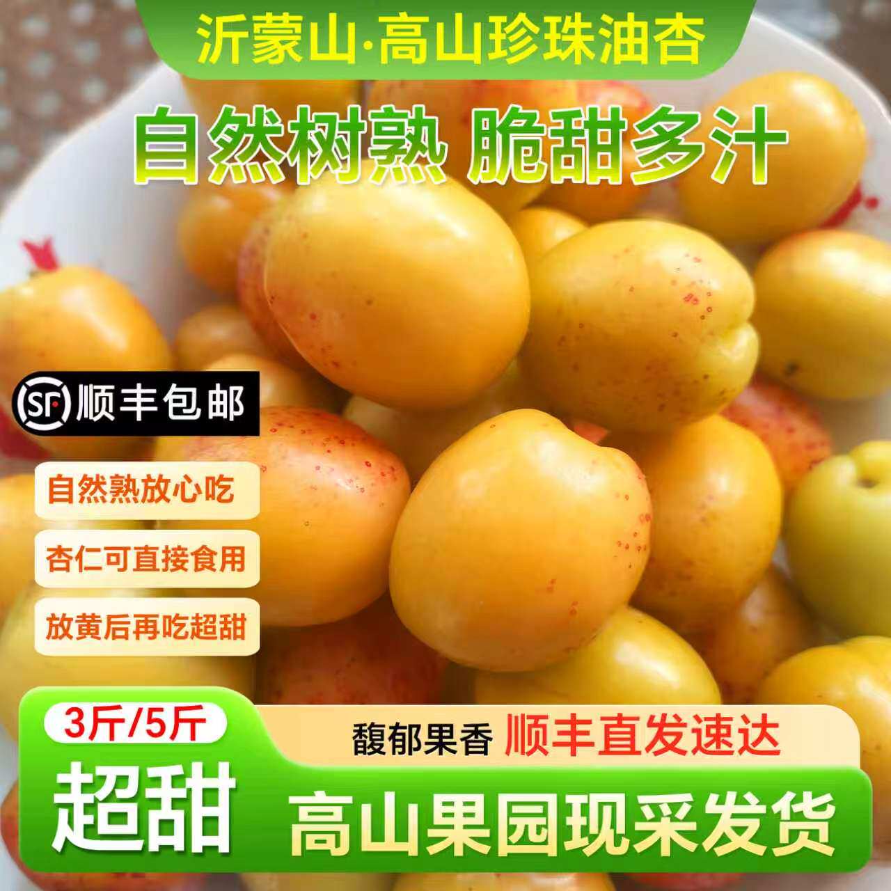正宗山东油杏小白杏馥郁果香新鲜水果孕妇当季高山果园采摘3斤5斤