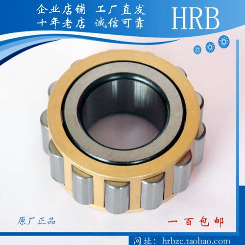 轴承RN205 206 207 208 209 305 306 307 308 309 310 311 312EM