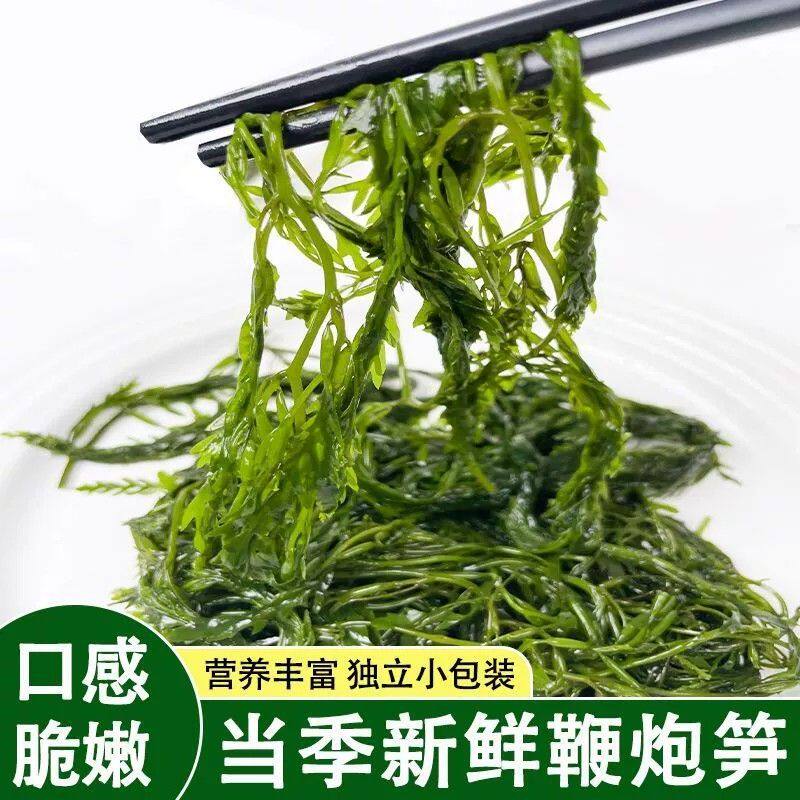 新鲜马尾藻鞭炮长寿菜盐渍火锅食材海藻马尾藻新鲜无盐商用涮菜