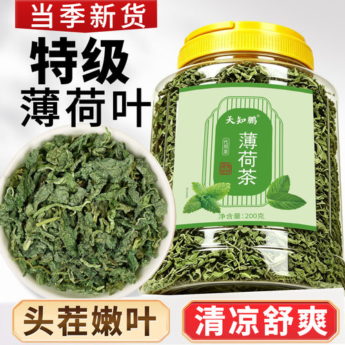 特级薄荷茶新鲜食用薄荷叶干薄荷无硫无添加夏季清凉泡水喝的凉茶