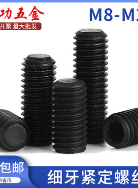 4.8级细牙紧定螺丝内六角平端顶丝止付螺钉GB77m8m10m12m16m20/6L