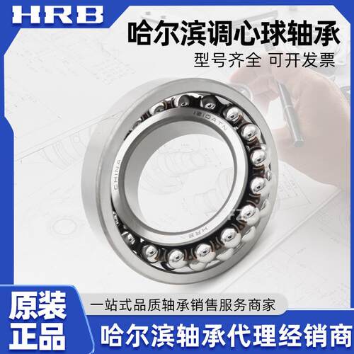 HRB 哈尔滨轴承 2309 2310 2311 2312 A K AK-2RZ TN 调心球