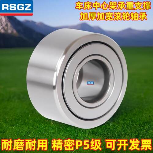 RSGZ滚子轴承 BPW51-D5 d6 8 10 12 15 17 20 25 30 35 40 50- PP