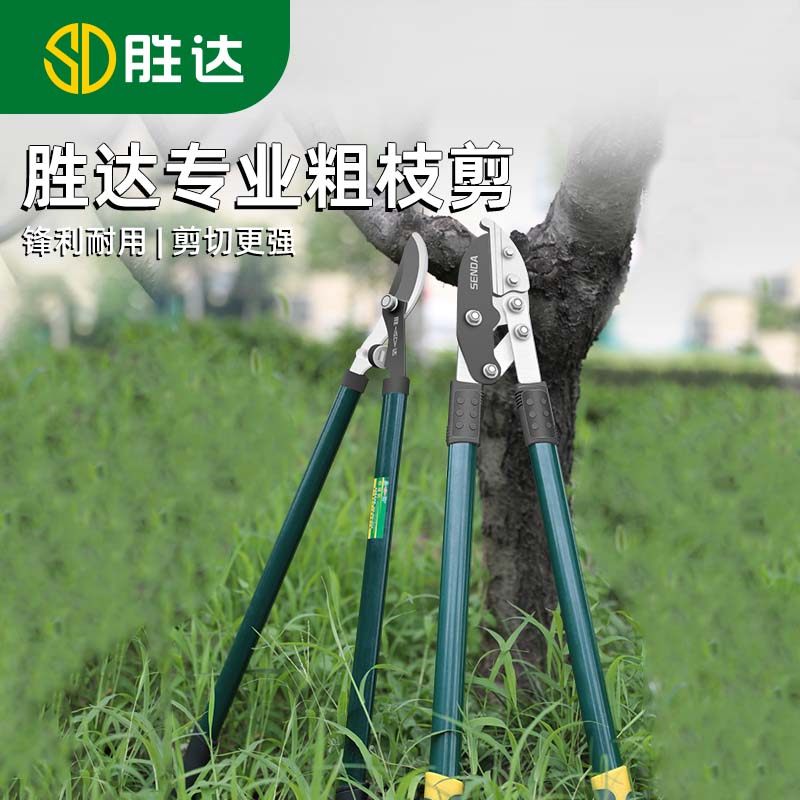 剪刀修枝剪修剪树枝剪刀园艺剪刀绿化修剪刀大剪刀修枝剪高枝剪图片