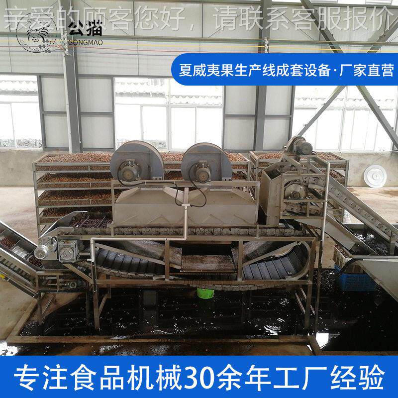 厂家供应流水线夏威夷果成套生产线设备夏威夷果生产全自动机器