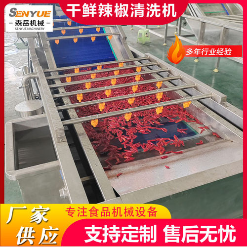 定制果蔬气泡清洗机鲜花生去泥沙气泡清洗机竹笋鼓泡翻浪清洗机