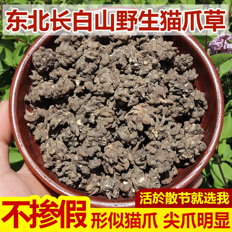 野生猫爪草药材500g长白山猫瓜草水洗猫抓草无硫干货煮泡水散节茶