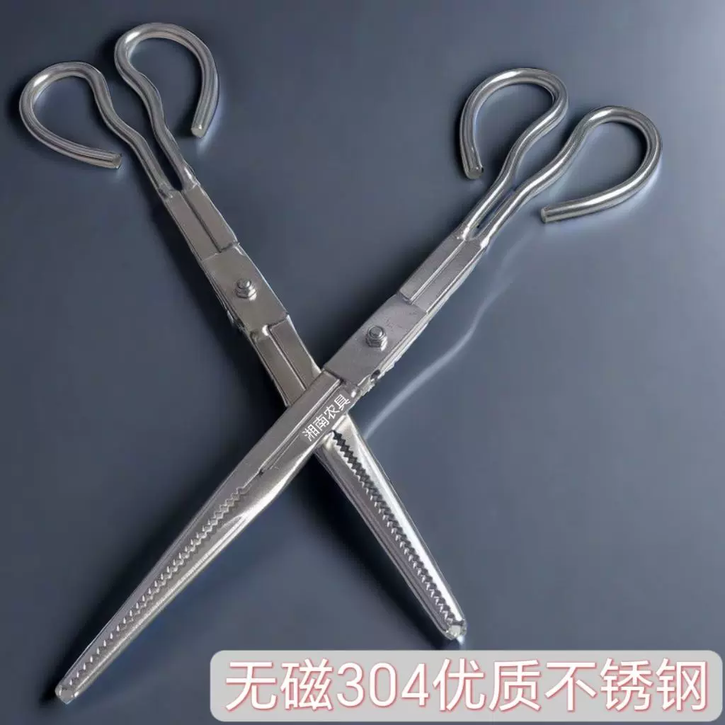 不锈钢黄鳝夹子防滑防脱赶海神器多功能控鱼夹鳝鱼泥鳅螃蟹专用钳