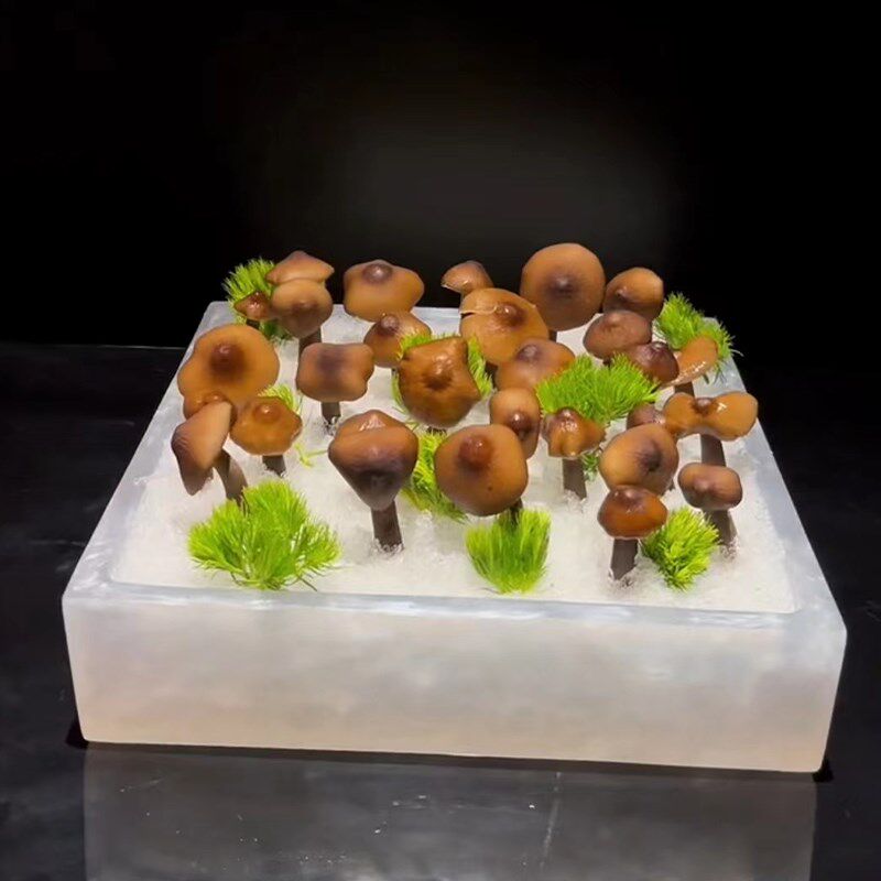 创意特色火锅店茵类拼盘餐具方形形刺身盘三文鱼海鲜冰盘寿司拼盘