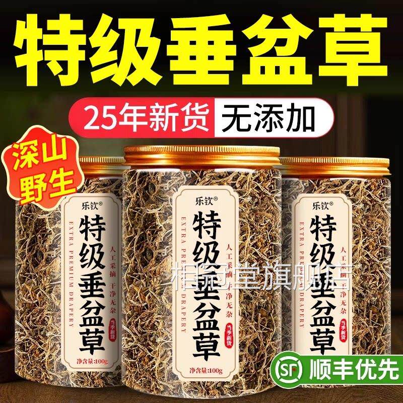 垂盆草中药材新鲜干货500g新货泡水深山垂草的功效盆锤盆草狗牙zz