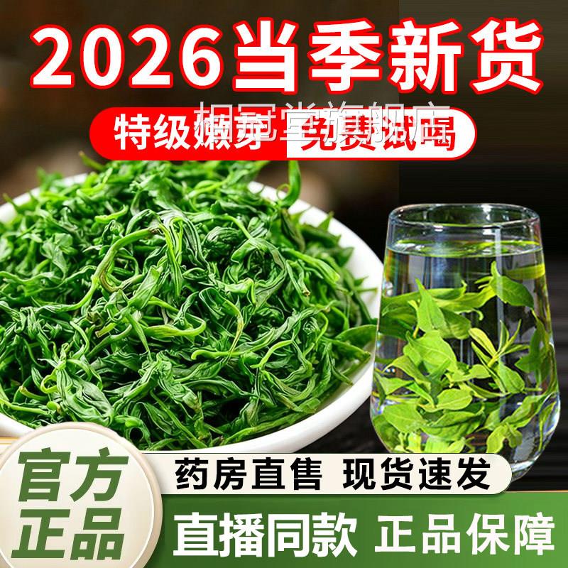 2026小苦丁茶正宗高山余庆特级野生新茶嫩芽叶官方旗舰店正品1gm
