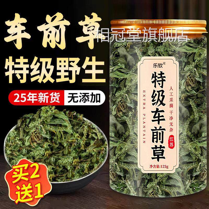 钦牌特级车前草中药材野生采乐摘新鲜干货官方旗舰店养生泡茶t7xl